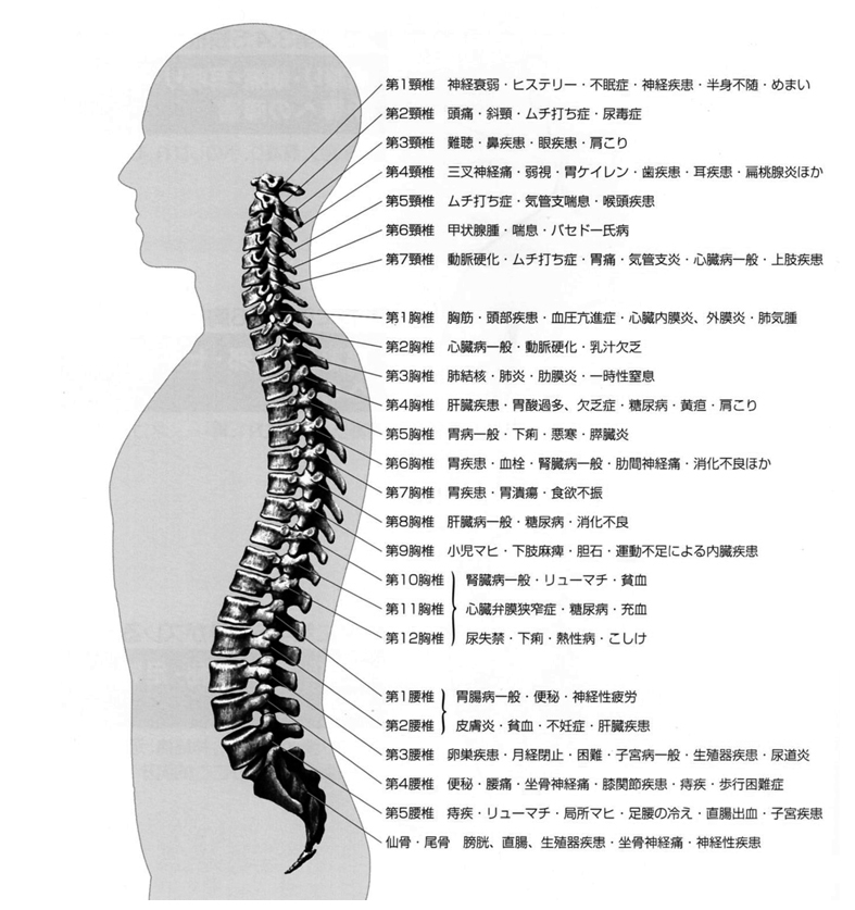 背骨の歪みが原因の病気